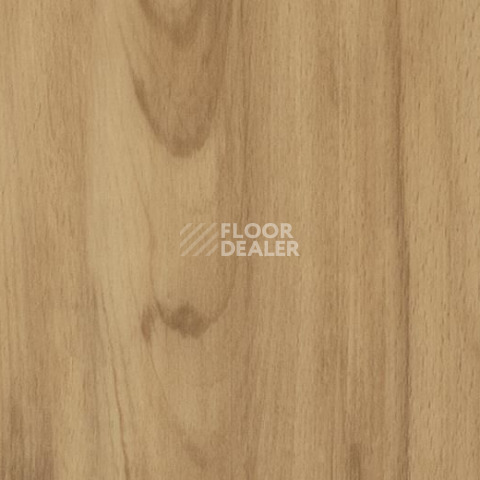 Кварцвиниловые полы Forbo Allura Click 60026CL5 classic beech фото 1 | FLOORDEALER